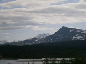 Vildmarksvägen Nord i juni