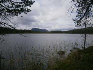 Sajvva sjön II